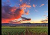 Take in the Beautiful Sonoma Wine Country