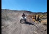 Ride an ATV on Your Own