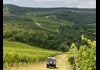 Explore Wine Country in a Land Rover Defender