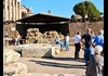 Temple of Julius Caesar: