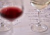 Become a Greek wine connoisseur 