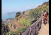 Hike Through a Cliffside Vineyard with Stunning Views