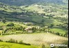 Umbrian Countryside