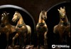 Ancient Horses